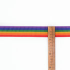 ペット鎖のための多彩なポリエステル虹のウェビングのトリム